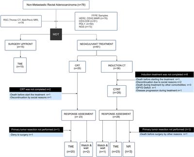 Prognostic Impact of An Integrative Landscape of Clinical, Immune, and Molecular Features in Non-Metastatic Rectal Cancer